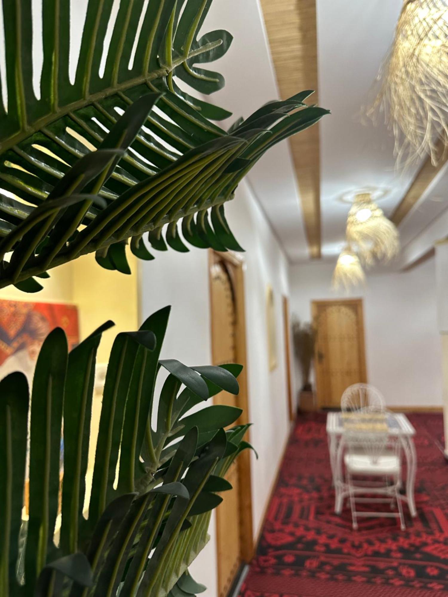 Riad Dreams Dades Tamellalt  ภายนอก รูปภาพ